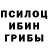 Галлюциногенные грибы Psilocybine cubensis blaydemastah
