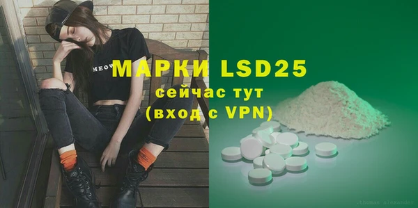 ГАЛЛЮЦИНОГЕННЫЕ ГРИБЫ Баксан