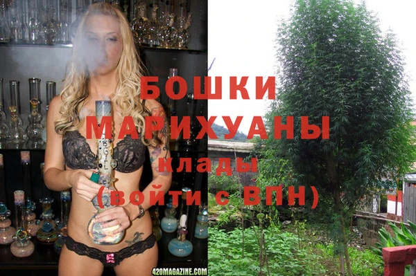 шишки Балахна