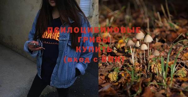 спайс Балабаново