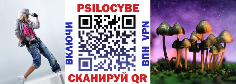 продажа наркотиков  Новокубанск  ссылка на мегу сайт  Псилоцибиновые грибы Magic Shrooms 